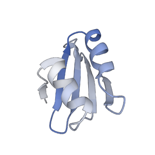 16211_8br8_Ll_v1-2
Giardia ribosome in POST-T state (A1)