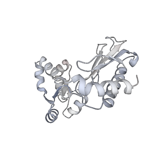16211_8br8_Ln_v1-2
Giardia ribosome in POST-T state (A1)