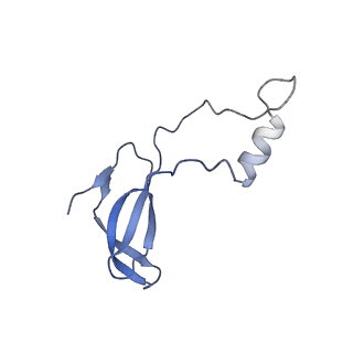 16211_8br8_Lp_v1-2
Giardia ribosome in POST-T state (A1)