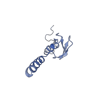 16211_8br8_Lq_v1-2
Giardia ribosome in POST-T state (A1)
