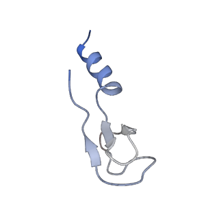 16211_8br8_Ls_v1-2
Giardia ribosome in POST-T state (A1)