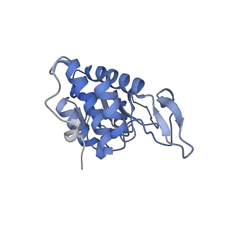 16211_8br8_SA_v1-2
Giardia ribosome in POST-T state (A1)