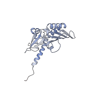 16211_8br8_SC_v1-2
Giardia ribosome in POST-T state (A1)