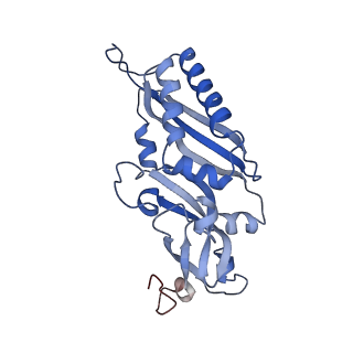 16211_8br8_SD_v1-2
Giardia ribosome in POST-T state (A1)