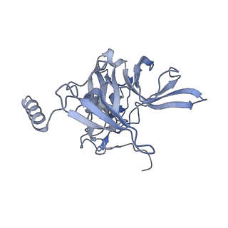 16211_8br8_SE_v1-2
Giardia ribosome in POST-T state (A1)