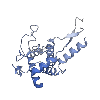 16211_8br8_SF_v1-2
Giardia ribosome in POST-T state (A1)