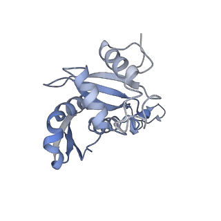 16211_8br8_SH_v1-2
Giardia ribosome in POST-T state (A1)