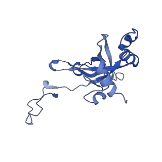 16211_8br8_SI_v1-2
Giardia ribosome in POST-T state (A1)