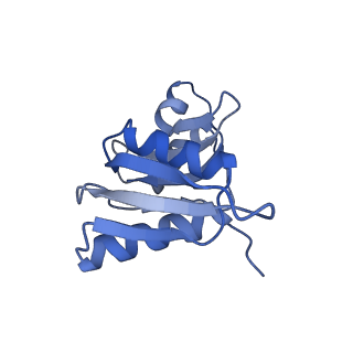 16211_8br8_SJ_v1-2
Giardia ribosome in POST-T state (A1)