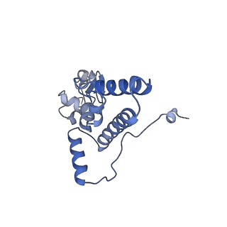 16211_8br8_SK_v1-2
Giardia ribosome in POST-T state (A1)