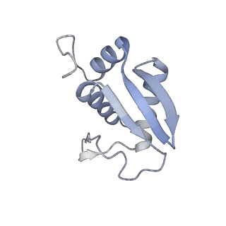 16211_8br8_SL_v1-2
Giardia ribosome in POST-T state (A1)