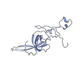 16211_8br8_SM_v1-2
Giardia ribosome in POST-T state (A1)