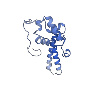 16211_8br8_SP_v1-2
Giardia ribosome in POST-T state (A1)