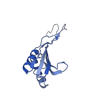16211_8br8_SQ_v1-2
Giardia ribosome in POST-T state (A1)