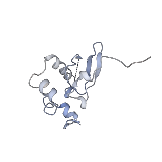 16211_8br8_SR_v1-2
Giardia ribosome in POST-T state (A1)