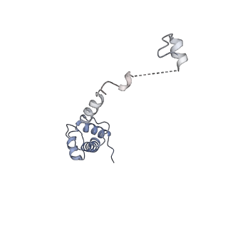 16211_8br8_SU_v1-2
Giardia ribosome in POST-T state (A1)