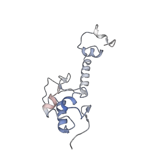 16211_8br8_SV_v1-2
Giardia ribosome in POST-T state (A1)