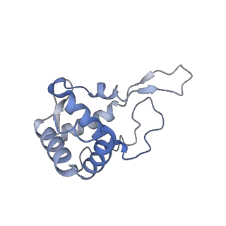16211_8br8_SW_v1-2
Giardia ribosome in POST-T state (A1)