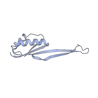 16211_8br8_SX_v1-2
Giardia ribosome in POST-T state (A1)
