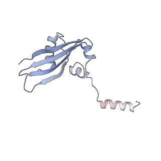 16211_8br8_Sb_v1-2
Giardia ribosome in POST-T state (A1)