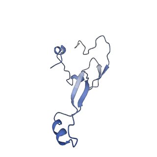 16211_8br8_Sd_v1-2
Giardia ribosome in POST-T state (A1)