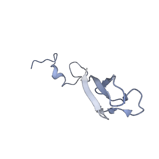 16211_8br8_Se_v1-2
Giardia ribosome in POST-T state (A1)