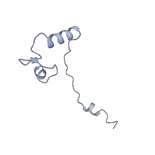 16211_8br8_Sj_v1-2
Giardia ribosome in POST-T state (A1)