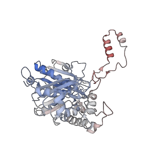 16217_8brj_B_v1-2
Escherichia coli anaerobic fatty acid beta oxidation trifunctional enzyme (anEcTFE) trimeric complex