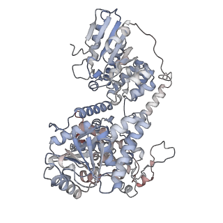 16217_8brj_C_v1-2
Escherichia coli anaerobic fatty acid beta oxidation trifunctional enzyme (anEcTFE) trimeric complex