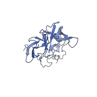 16222_8brm_LA_v1-2
Giardia ribosome in POST-T state, no E-site tRNA (A6)