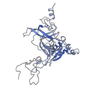 16222_8brm_LB_v1-2
Giardia ribosome in POST-T state, no E-site tRNA (A6)
