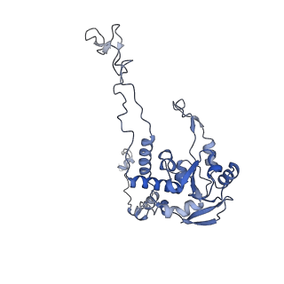 16222_8brm_LC_v1-2
Giardia ribosome in POST-T state, no E-site tRNA (A6)