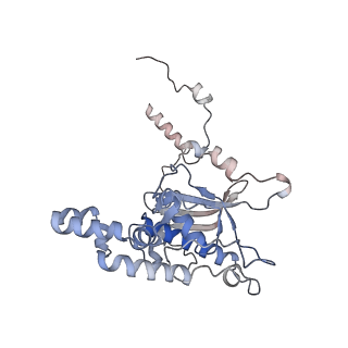 16222_8brm_LF_v1-2
Giardia ribosome in POST-T state, no E-site tRNA (A6)