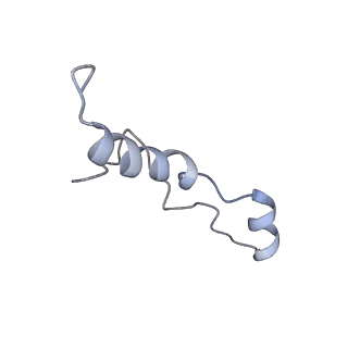 16222_8brm_LG_v1-2
Giardia ribosome in POST-T state, no E-site tRNA (A6)