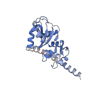 16222_8brm_LH_v1-2
Giardia ribosome in POST-T state, no E-site tRNA (A6)