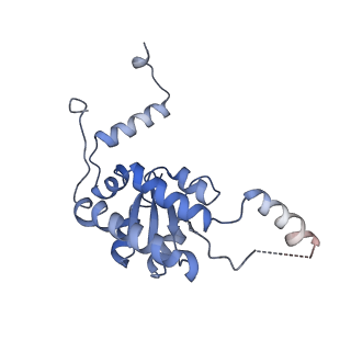 16222_8brm_LI_v1-2
Giardia ribosome in POST-T state, no E-site tRNA (A6)