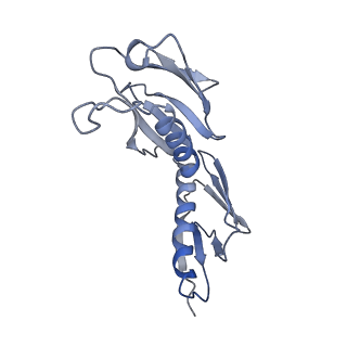 16222_8brm_LJ_v1-2
Giardia ribosome in POST-T state, no E-site tRNA (A6)