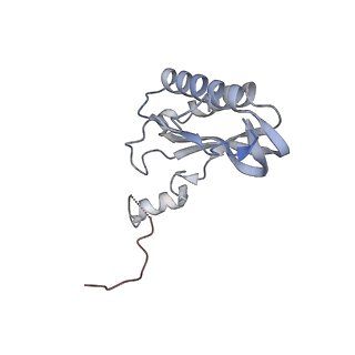 16222_8brm_LK_v1-2
Giardia ribosome in POST-T state, no E-site tRNA (A6)
