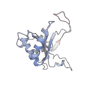 16222_8brm_LL_v1-2
Giardia ribosome in POST-T state, no E-site tRNA (A6)