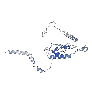 16222_8brm_LM_v1-2
Giardia ribosome in POST-T state, no E-site tRNA (A6)