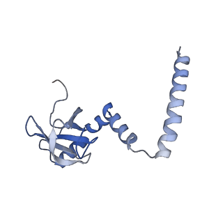 16222_8brm_LN_v1-2
Giardia ribosome in POST-T state, no E-site tRNA (A6)