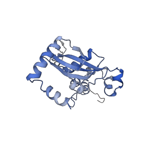 16222_8brm_LO_v1-2
Giardia ribosome in POST-T state, no E-site tRNA (A6)