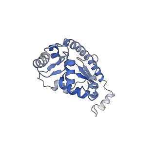16222_8brm_LP_v1-2
Giardia ribosome in POST-T state, no E-site tRNA (A6)
