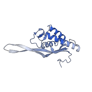 16222_8brm_LQ_v1-2
Giardia ribosome in POST-T state, no E-site tRNA (A6)