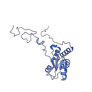 16222_8brm_LR_v1-2
Giardia ribosome in POST-T state, no E-site tRNA (A6)