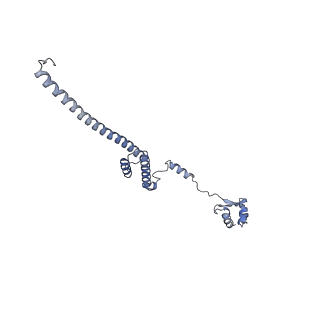 16222_8brm_LS_v1-2
Giardia ribosome in POST-T state, no E-site tRNA (A6)