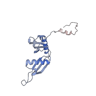 16222_8brm_LT_v1-2
Giardia ribosome in POST-T state, no E-site tRNA (A6)