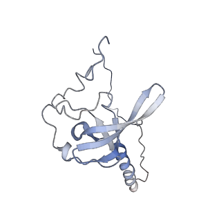 16222_8brm_LU_v1-2
Giardia ribosome in POST-T state, no E-site tRNA (A6)