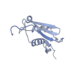16222_8brm_LV_v1-2
Giardia ribosome in POST-T state, no E-site tRNA (A6)