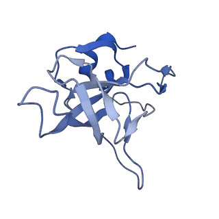 16222_8brm_LW_v1-2
Giardia ribosome in POST-T state, no E-site tRNA (A6)